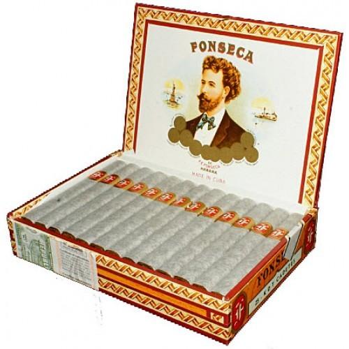 Fonseca • KDT Cadetes