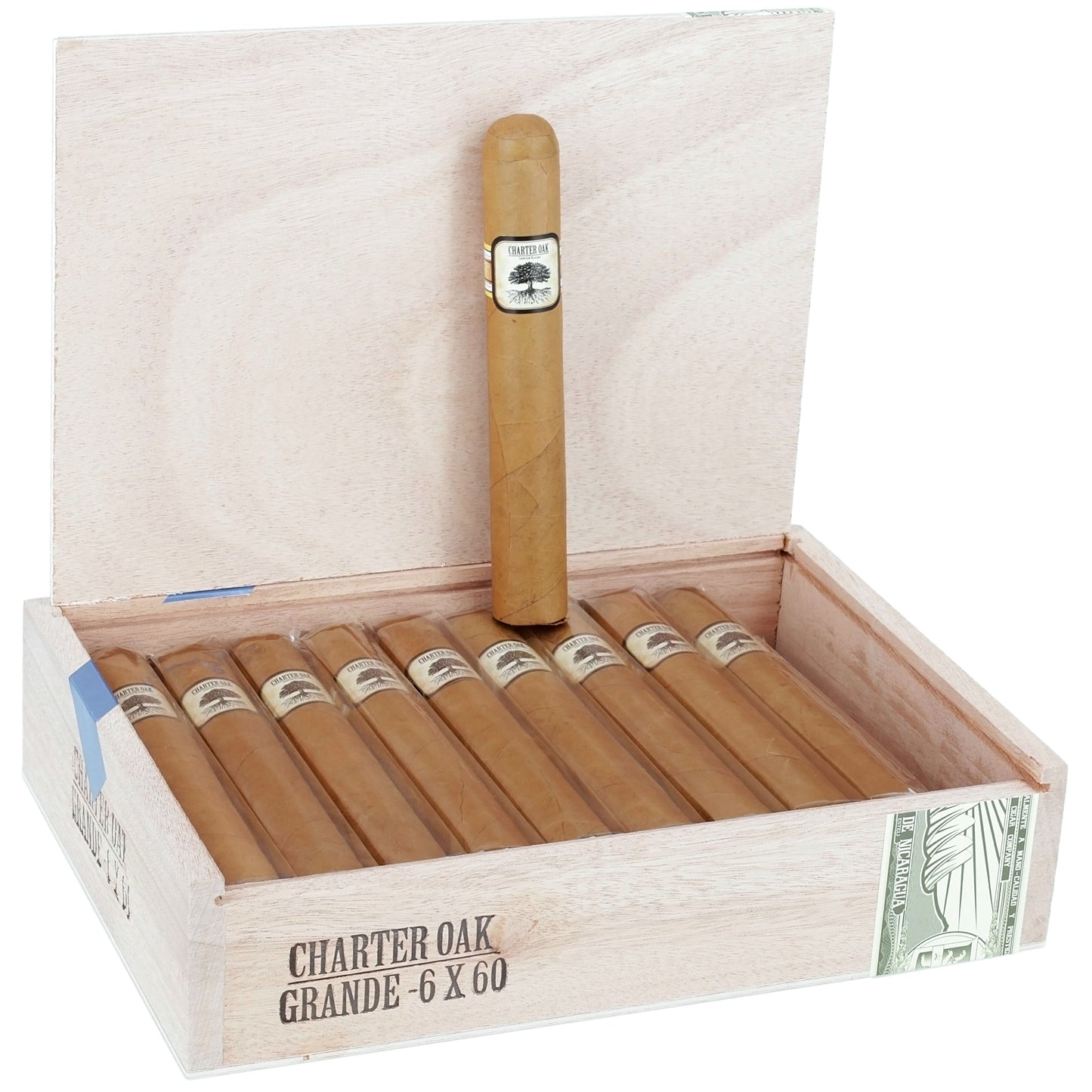 Foundation • Charter Oak Shade • Gordo