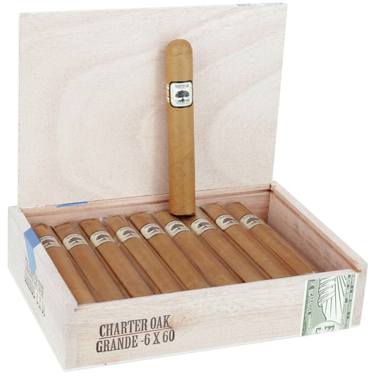 Foundation • Charter Oak Shade • Gordo
