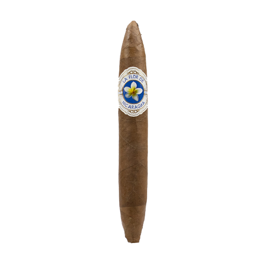 La Flor de Nicaragua • Torpedo